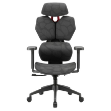 ERGO MESH