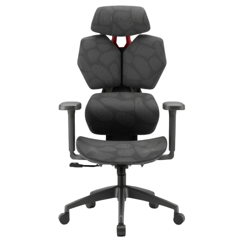 ERGO MESH ergonomic chair with breathable mesh back